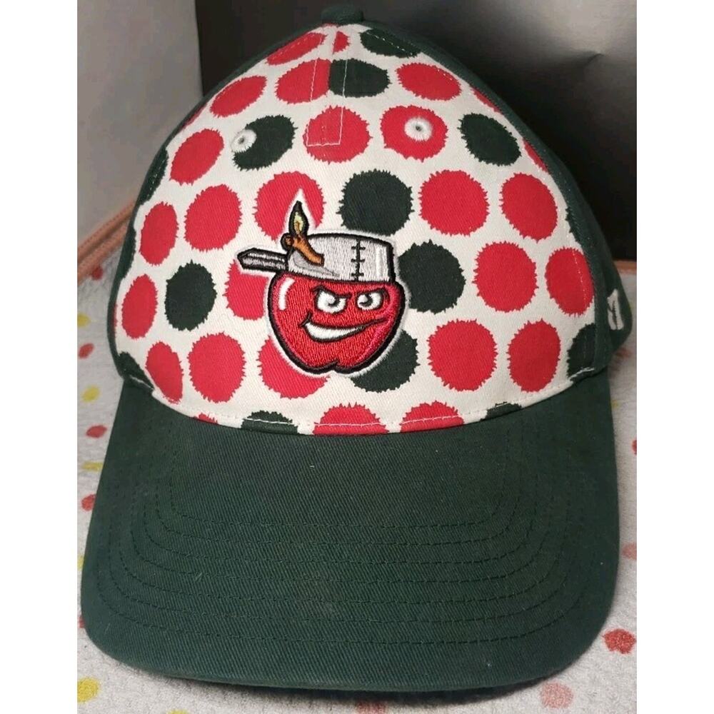 Fort Wayne TinCaps Youth MiLB OC Sports Strapback Adjustable Baseball Hat Multi